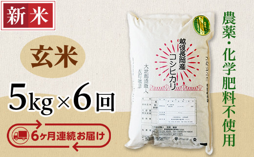 E1-G056【6ヶ月連続お届け】新潟県長岡産コシヒカリ玄米5kg