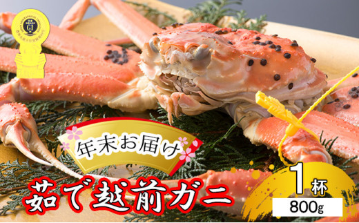 
茹で越前ガニ【年末お届け】食通もうなる本場の味をぜひ、ご堪能ください。約800g以上×1杯 越前がに 越前かに 越前カニ ずわいがに かに カニ ボイルガニ [№5580-0587]
