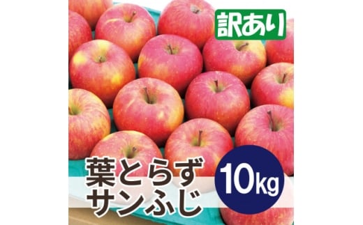 ＜26年1月～2月出荷予定＞平均糖度13度以上! 葉とらずサンふじ 約10kg 訳あり【1667883】