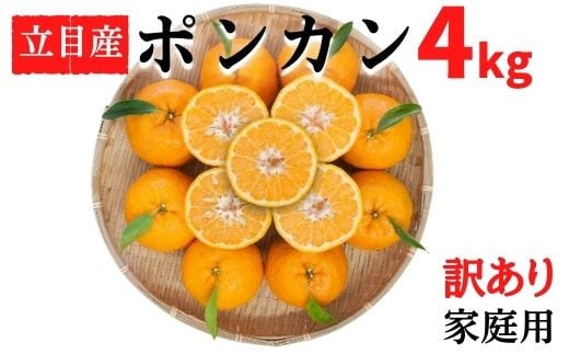 【早期予約】 訳あり ポンカン 4kg ぽんかん 旬 椪柑 時期 訳あり 家庭用  ピールの砂糖漬け 産地直送 果物 フルーツ ジュース ゼリー ジューシー 果汁 みかん 柑橘 くだもの ミカン 果肉