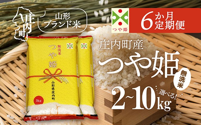
                  ＜毎月下旬発送＞庄内米6か月定期便！つや姫無洗米 選べる配送開始月 内容量 2kg / 5kg / 6kg / 10kg ブランド米 2025年産 無洗米 米 お米 白米 山形 庄内地方 庄内平野 コシヒカリの原点、亀の尾発祥の地 庄内 定期便 定期
                