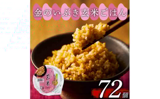 玄米ごはんパック 160g 72個 玄米 米 ごはん ご飯 こめ パックライス パックご飯 パックごはん ご飯パック ごはんパック パック ライス 備蓄 保存 非常 防災 電子 レンジ 温めるだけ レンチン 簡単 健康 ダイエット 美容 ヘルシー レトルト インスタント おいしい 人気 おすすめ 72 72食 おくさま印 金のいぶき 人気の玄米ご飯パック 美味しい玄米ご飯パック 大阪 松原