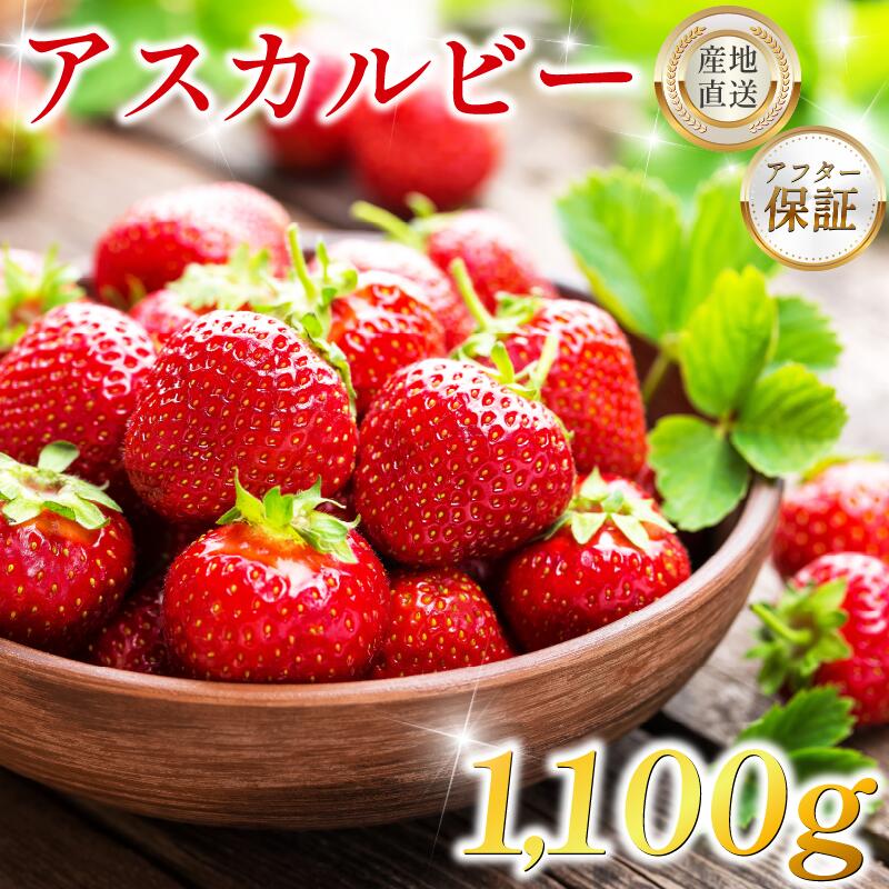 【ふるさと納税】 いちご 800g 1.1kg 1.3kg 苺 先行予約 アスカルビー 究極のいちご 甘酸っぱい 甘い 香り 苺 イチゴ 果物 フルーツ ストロベリー 期間限定 旬 冬 ケーキ アイス シャーベット 人気 オススメ 贈答 冬ギフト 化粧箱 ミカモフレテック みよし 徳島県 三好市