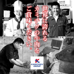 No.1015-m06 ＜2025年6月中に発送予定＞鹿児島県産黒毛和牛切落し(計900g・300g×3P)牛肉 切落し 切り落し 和牛 冷凍 国産 九州産 小分け 国産牛 お肉 牛丼 野菜炒め カレ