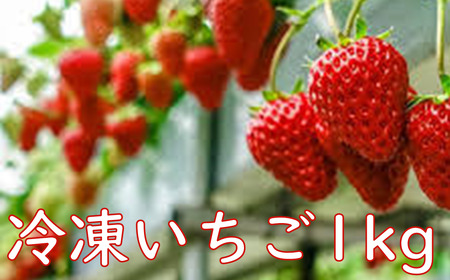 冷凍いちご　1kg（あきひめ、かおり野、紅ほっぺ） mi0065-0001