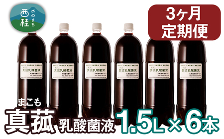 【定期便】真菰（まこも）乳酸菌液　1.5L×6本　3ヶ月定期便