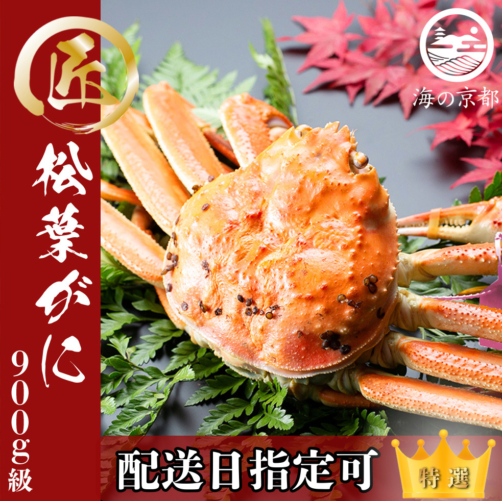 【配送日指定可】茹で松葉蟹 大1杯 900g級 蟹 カニ かに 松葉蟹 松葉ガニ ズワイガニ 海鮮 ボイル myz05 myz11 myz16
