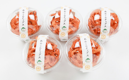 【先行予約】【極厚】堅あげ！れんこんチップス 5カップ ／ 腸活 お菓子 チップス れんこん 小分け おすすめ サクサク ※2025年11月上旬以降順次発送予定 [aw056-a016]