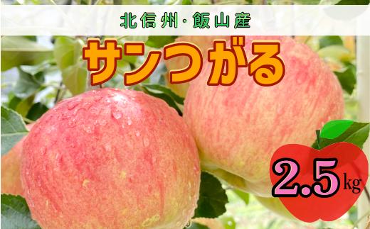 
            【先行予約】サンつがる【約2.5ｋｇ(6〜9玉)】(7-A19-1)
          