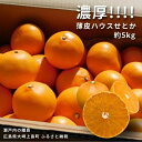 【ふるさと納税】2月発送 Farm I-Faveur せとか 約5kg (20個程度) 果汁 たっぷり 薄皮 ハウス 広島県 大崎上島町 瀬戸内 離島 国産 濃厚 柑橘 みかん 果物 フルーツ 贈答用 ギフト 送料無料 産地直送