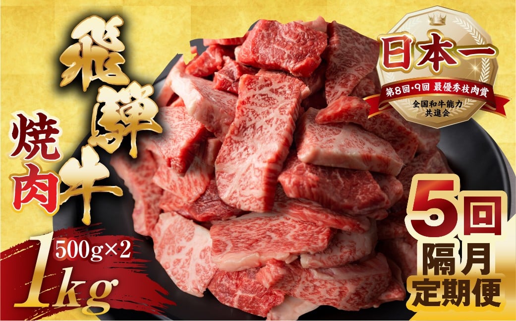 
            【隔月定期便】訳あり 飛騨牛 焼肉 切り落とし 500g × 2 計 1kg 5回隔月お届け定期便 | 牛肉 肉 切落し わけあり ぎゅうにく にく ひだぎゅう ひだうし 訳あり 商品 ワケアリ 不揃い 小分け 切り落とし きりおとし 小分け 冷凍 本巣市 トキノ屋 食品 訳有 焼肉セット 焼肉用
          