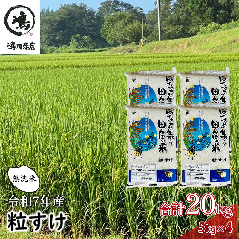 【ふるさと納税】新米　千葉県産　粒すけ　無洗米　20kg　令和7年　お米 米 こめ コメ 銘柄米 ご飯 おにぎり お弁当 和食 食卓 精米 国産 産地直送 千葉市 千葉県