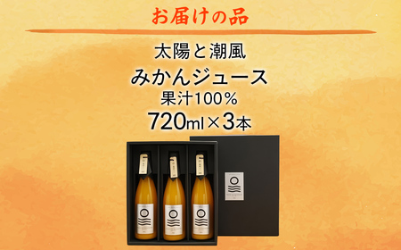 【先行予約】【愛媛県産】太陽と潮風みかんジュース（720ml×3本） 果汁100％（2025年12月より発送予定） 【ふるさと納税 人気 おすすめ ランキング みかん ミカン 蜜柑 ジュース みかんジ