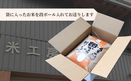 コシヒカリ 5kg