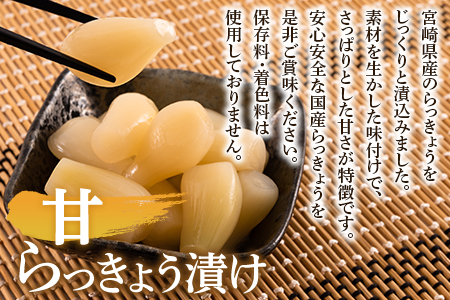 ＜【定期便3回 隔月】純国産甘らっきょう 合計3.9kg (130g×10袋) ＞ らつきょう ラッキョウ 辣韭 おつまみ 肴 ご飯のおとも お供 野菜 旬 漬物 国産 宮崎県産 九州産【MI396-
