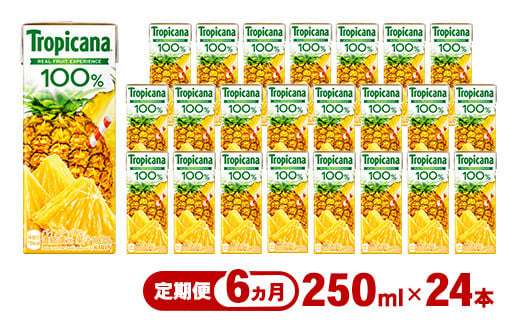 
            【定期便6ヶ月】トロピカーナ 100％ パインアップル 250ml LLスリム×24本 ※離島への配送不可
          
