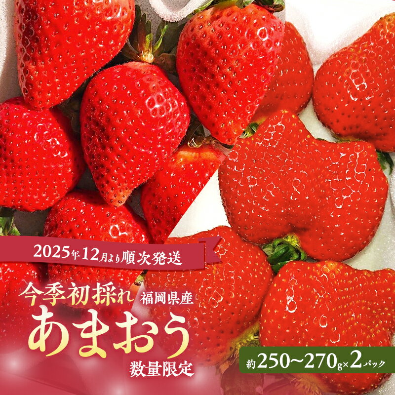 【ふるさと納税】あまおう 【2026年12月より順次発送】 今季初採れあまおう 2パック【数量限定】イチゴ 苺 いちご 果物 福岡県産 限定 ※配送不可:北海道・沖縄・離島　お届け：2025年12月上旬～2026年1月下旬