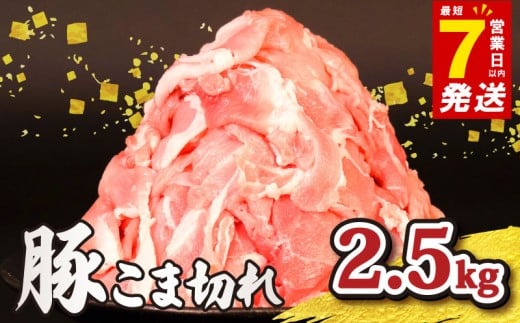 ＼最短7営業日以内発送／ 豚肉こま切れ 2.5kg 小分け 冷凍 真空パック 500g×5P 国産 豚 肉 こま肉 小間 小間肉 豚こま 小間切れ 小間 切り落とし 切落し ブランド 美味北総豚 千葉県 旭市 旭食肉協同組合 ask011