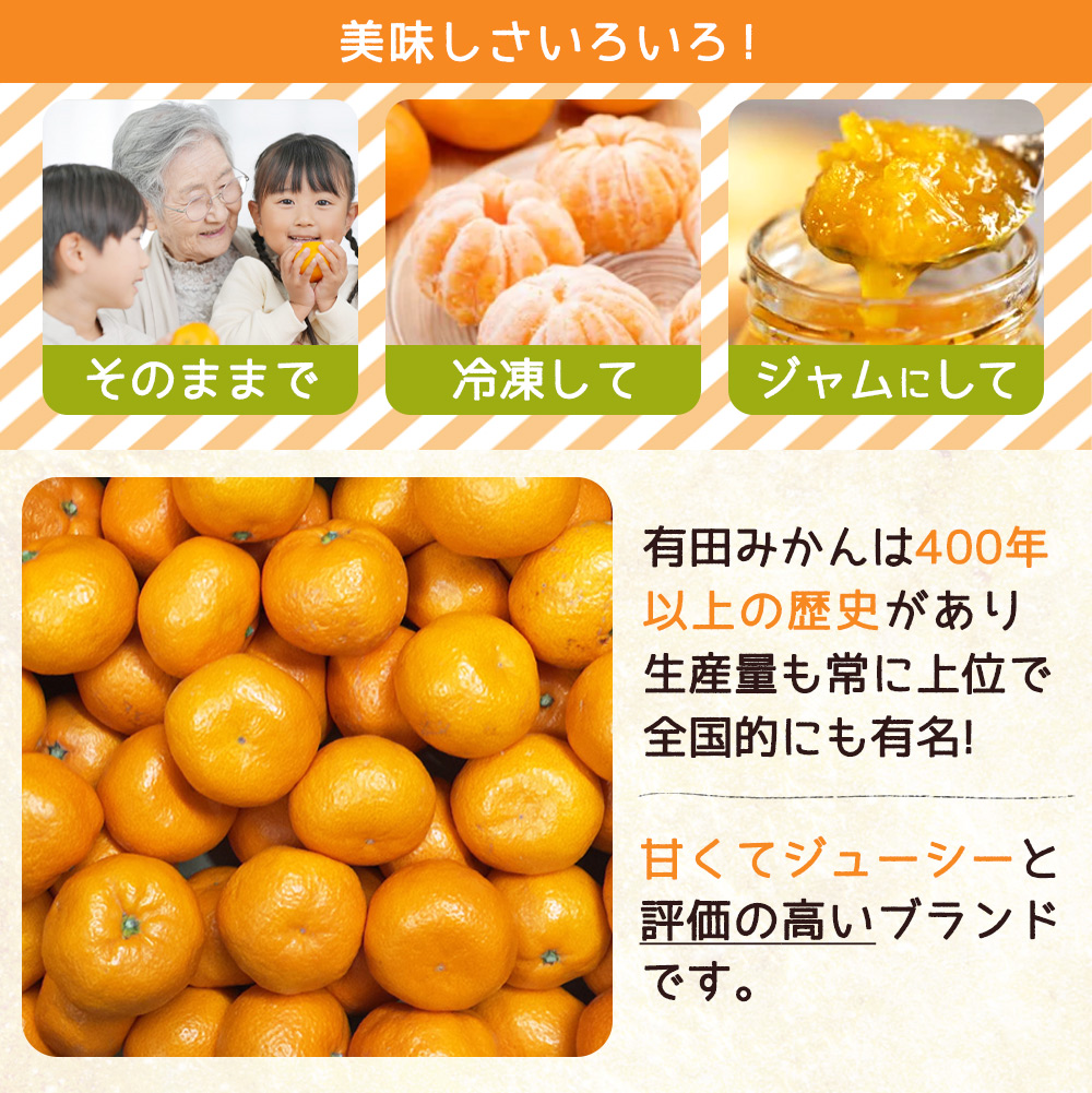 ZJ6084_【2025年先行予約】ご家庭用　和歌山有田みかん 約5kg (2L、3Lサイズいずれか)【湯浅町】