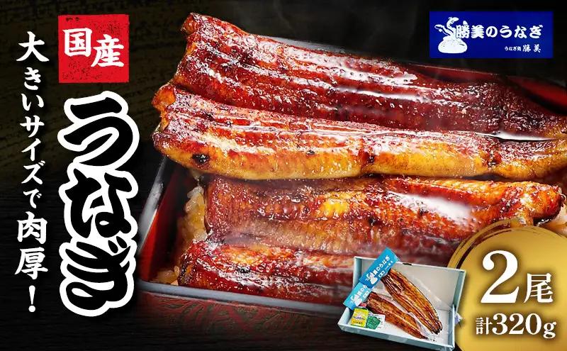 うなぎ 蒲焼 2尾 160g×2 タレ 75ml×1 山椒付 うなぎ