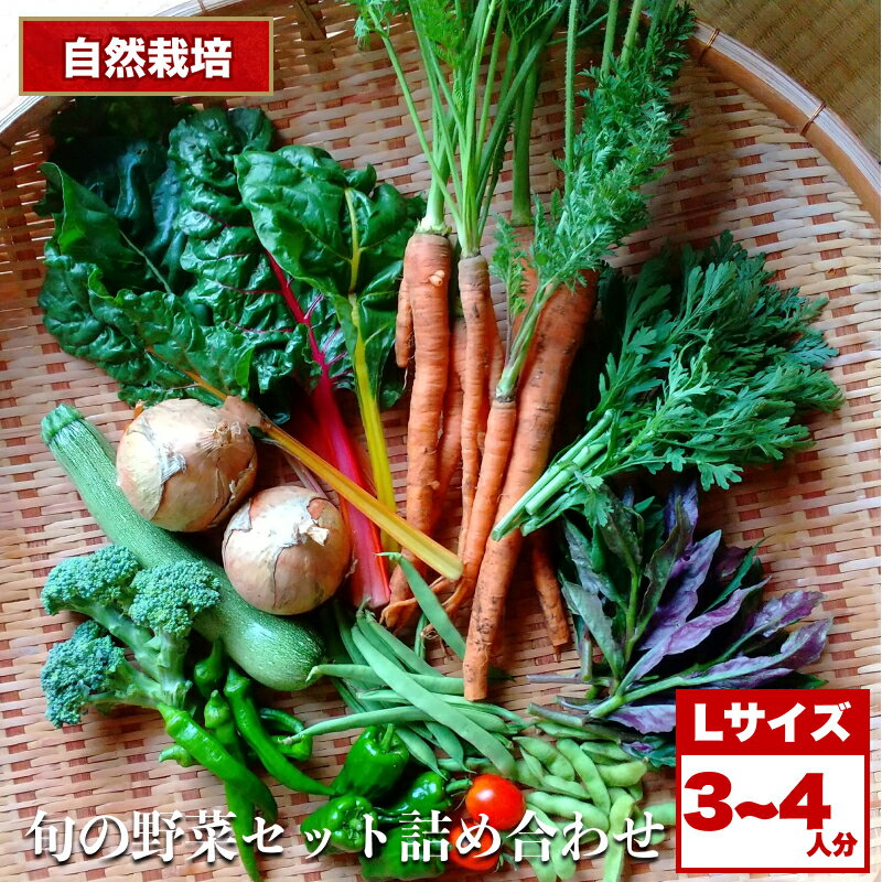 【ふるさと納税】自然栽培 旬の野菜セット 詰め合わせ Lサイズ 3～4人分 ｜ 野菜 セット 詰め合わせ 自然栽培 農薬不使用 やさい サラダ 採れたて とれたて 新鮮 季節限定 長野県 飯田市 信州