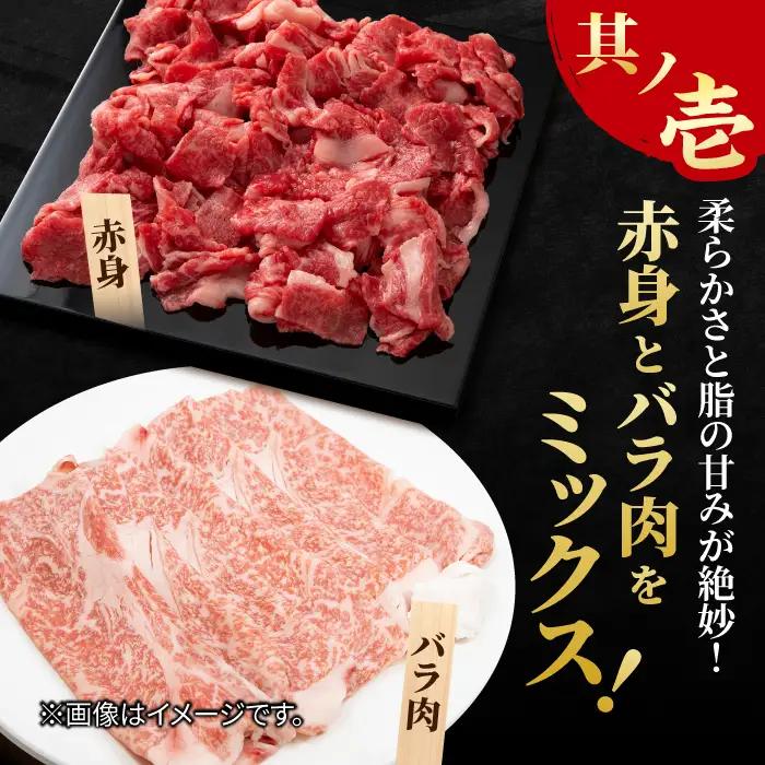 【12回定期便】佐賀牛 赤身とバラ肉の切り落とし 250g×2 黒毛和牛切り落とし 切り落とし[FCY016]