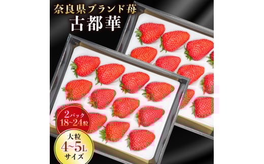 
            【数量限定】いちご 古都華 2パック 18~24粒 大粒 4~5L 苺 イチゴ いちご ことか 2026年1月以降順次発送 季節限定 旬 フルーツ 果物 スイーツ スムージー ケーキ 贈答 ギフト プレゼント 奈良県 奈良市 古都華カンパニー
          
