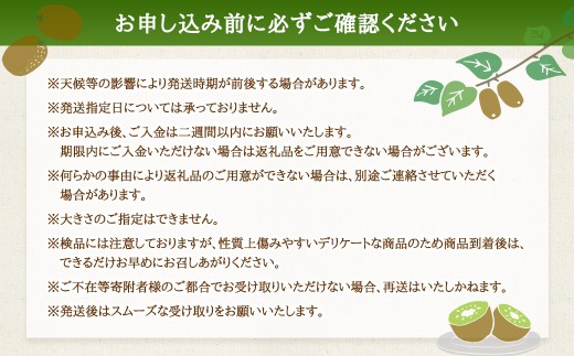 【体が喜ぶ】 キウイフルーツ 約2kg前後 （17～22個） バラ詰め合わせ （スタンドパック 3袋付き） 【2026年4月下旬まで順次発送予定】 果物 くだもの 果実 キウイフルーツ フルーツ キウ