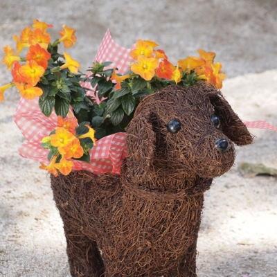 ふるさと納税 朝倉市 チビわんこのフラワーバスケット(2匹)