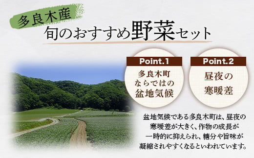 【定期便 3回】野菜ソムリエ監修 旬のおすすめ野菜セット ４〜5品