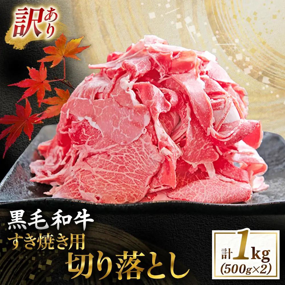 牛肉 【訳あり】宮崎県産黒毛和牛すき焼き用切り落とし 1.0kg 牛肉