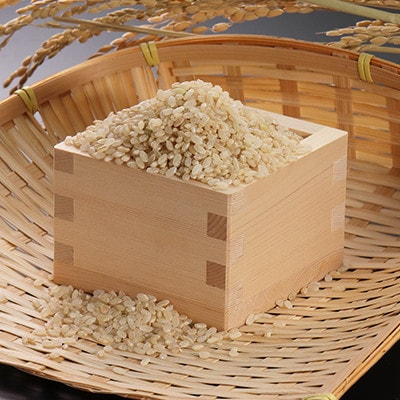 【毎月定期便】あきたこまち慣行栽培精玄米5kg全3回【配送不可地域：離島・沖縄県】
