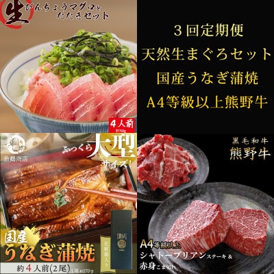 【毎月定期便】紀州和歌山うまいもんセットC(生まぐろ・うなぎ蒲焼・熊野牛)全3回【配送不可地域：離島・北海道・沖縄・東北・関東・九州】【4057119】