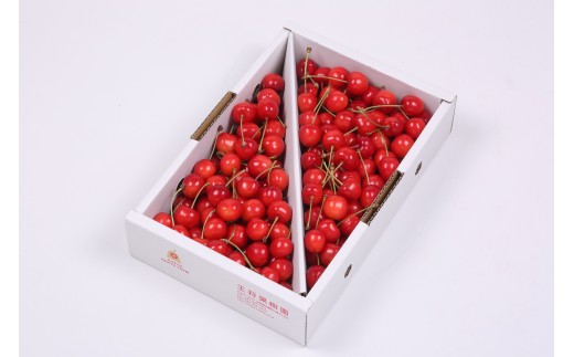 08-03-021　さくらんぼ(佐藤錦)1kg