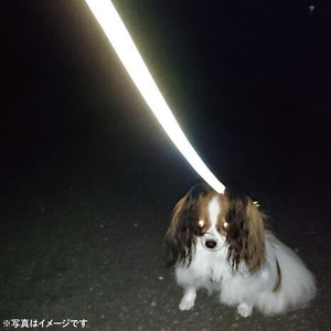 『オレンジレッド』反射材の光る犬用リード【小型犬5kg用】【散歩 愛犬 夜散歩 阿見町 茨城県】(40-06)