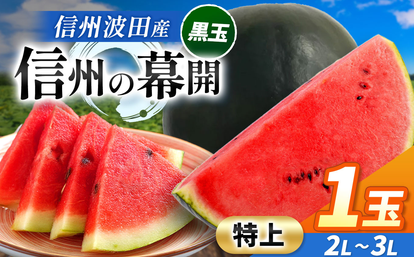 
            【先行受付：2026年7月発送】信州波田産 贈答用 黒玉スイカ！信州の幕開 【特上】 2L～3Lサイズ 1玉｜ふるさと納税 長野県 信州 松本 果物 フルーツ すいか スイカ 西瓜 贈答 季節限定 甘い くだもの ふるーつ
          