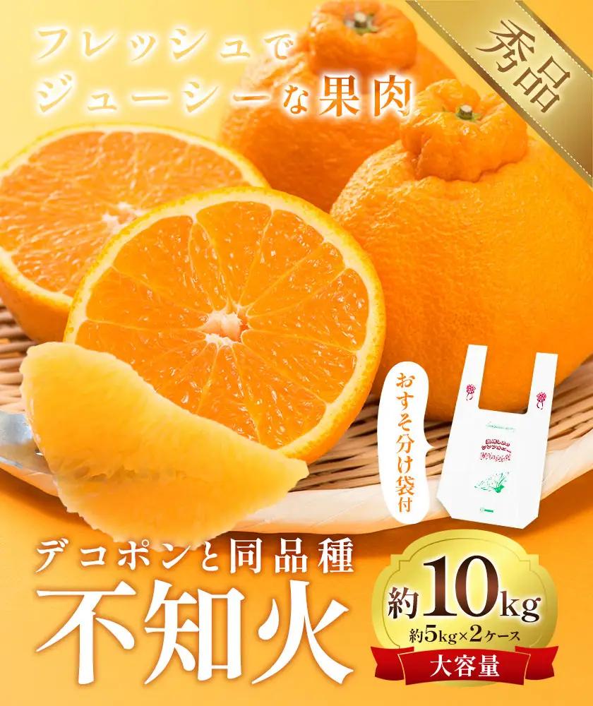 不知火 計10kg しらぬい 日本フルーツ株式会社 デコポン