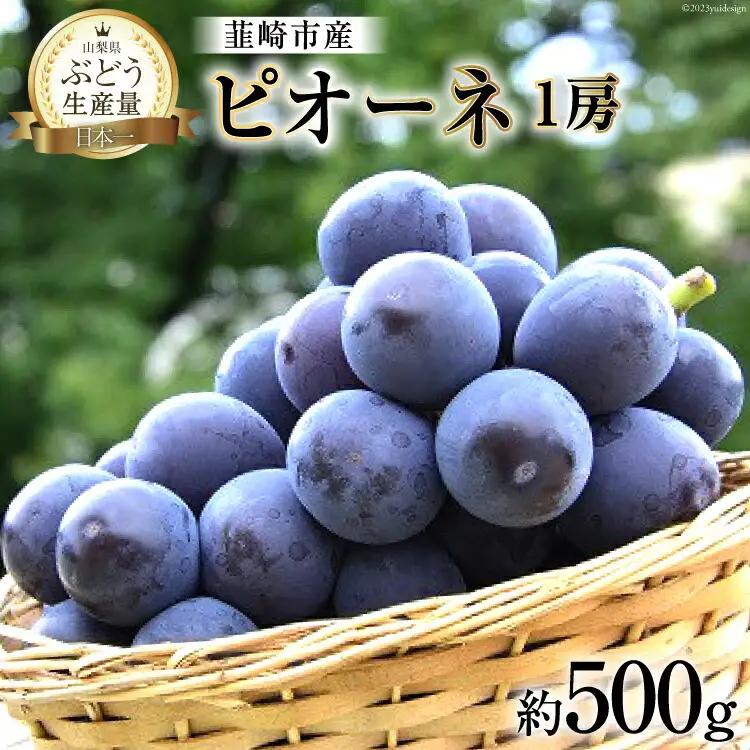 ぶどう 2026年発送 ピオーネ 1房 約 500g
