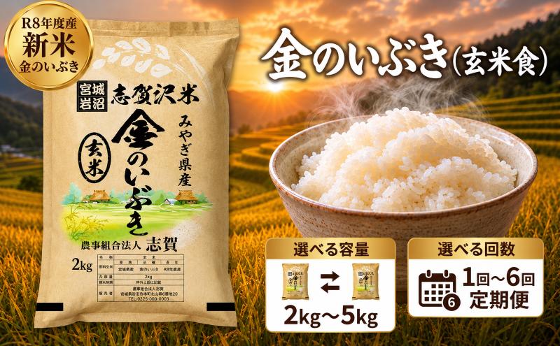 
                  【 令和8年産 】新米 金のいぶき（玄米食） [選べる容量/回数] おこめ 玄米 玄米食 コメ ライス ごはん ご飯 国産米 究極 栄養 GABA  ビタミン 食べやすい 黄金 健康食 冷めてもおいしい 究極の玄米 玄米食のための玄米 志賀沢米 岩沼産米
                