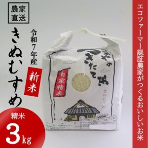 ★令和7年産新米★ 米 きぬむすめ 精米 3kg(令和7年10月～順次発送)【1661681】