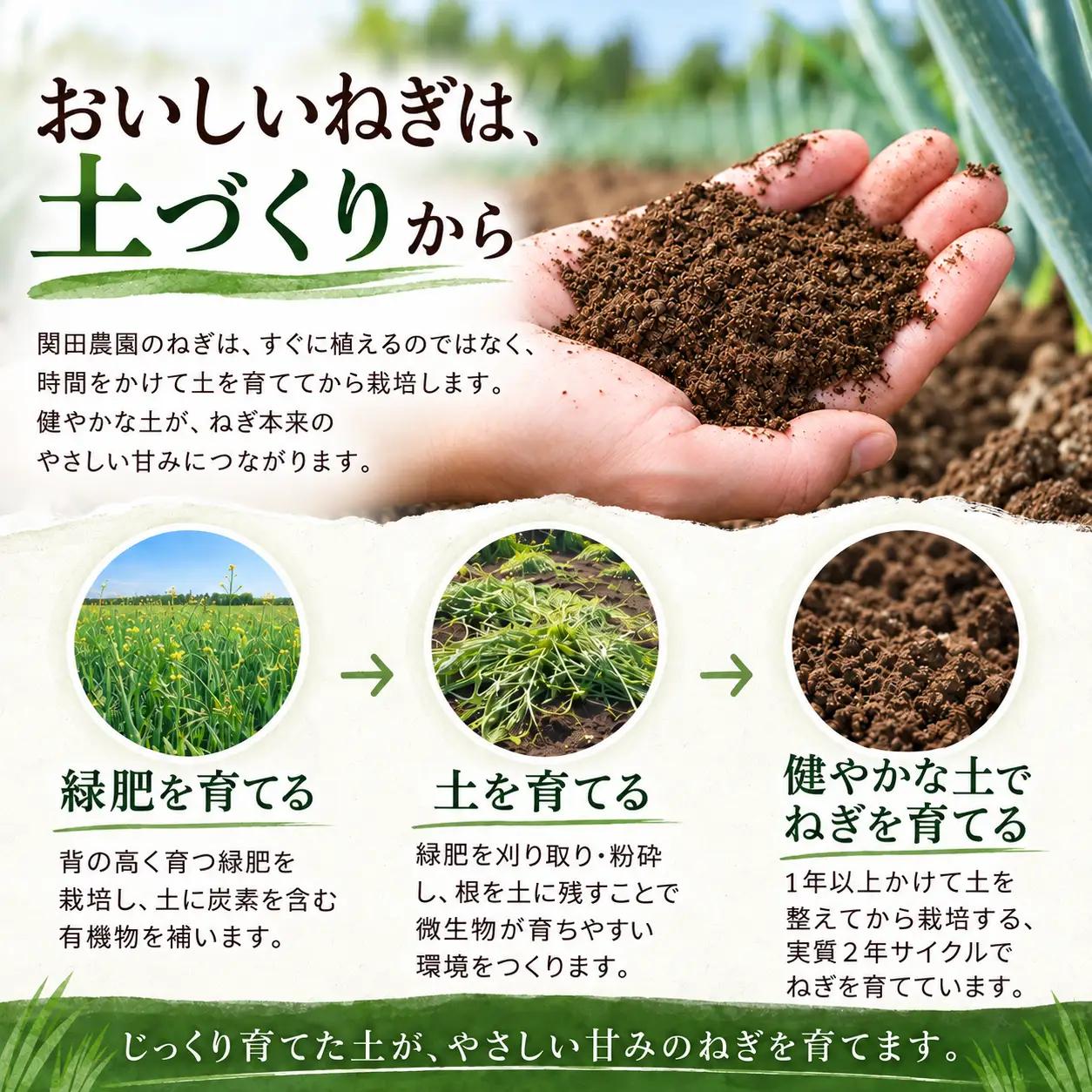 関田農園「厳選 長ねぎ（泥つき）」 3kg