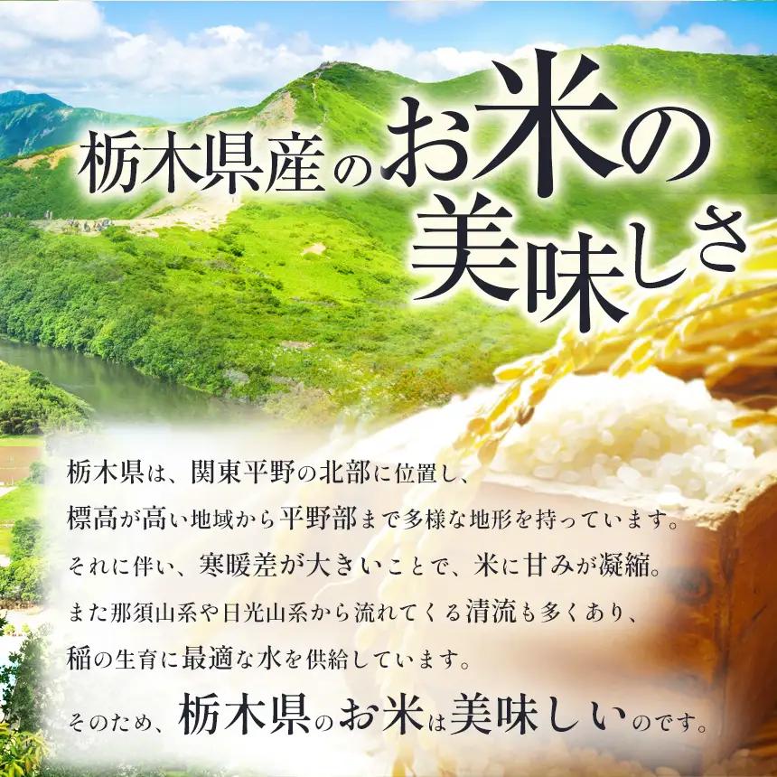 栃木県産 ブレンド米（10kg）【栃木県共通返礼品】AB | 栃木県 下野市