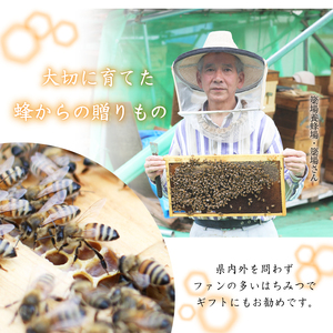 簗場養蜂場「天然はちみつ」アカシア 500g×2【国産蜂蜜】 ／ はちみつ 蜂蜜 ハチミツ 非加熱 生はちみつ 天然 国産