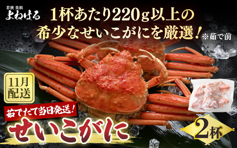 
                  【先行予約】天然 せいこがに × 2杯 希少な220g以上のサイズを厳選！ 茹でたその日に発送！【2025年11月中旬以降順次発送予定】 [m17-x005_11]
                
