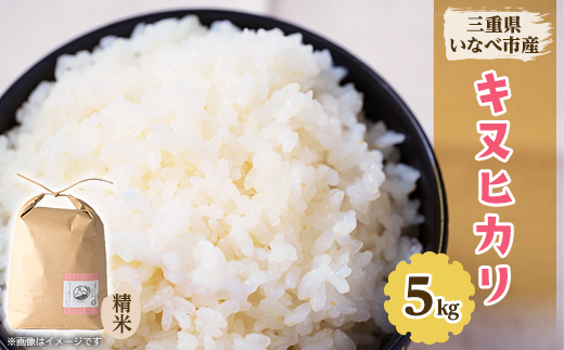 
            令和7年産　キヌヒカリ 5kg【1431743】
          