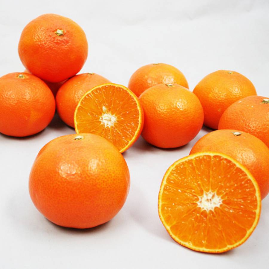 紅まどんな　1.8kg