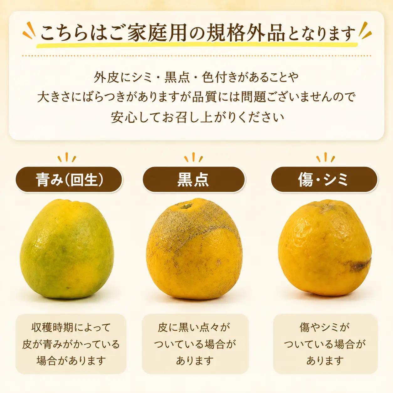 河内晩柑 8kg 河内晩柑 愛なんよ