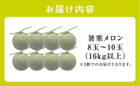 北海道産 暑寒メロン 8～10玉 (8kg以上×2箱) 2026年7月発送 青肉 果物 フルーツの王様 春 夏 秋 冬 御中元  フルーツ 生ハム パフェ ケーキ デザート ピューレ めろん さっぱり