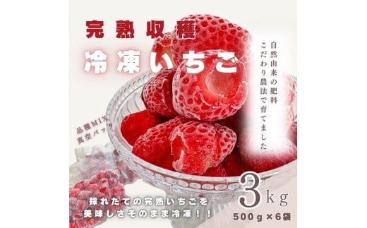 【採れたて瞬間冷凍！】滋賀県愛荘町産　冷凍いちご 3kg（500g×6）品種ミックス 冷凍 いちご 紅ほっぺ よつぼし みおしずく あまえくぼ　 BJ06