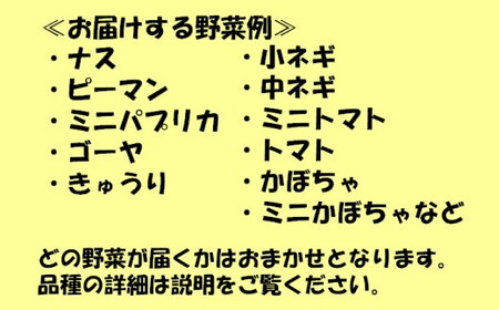 【訳アリ】【朝どれ】アグリ福ちゃん 夏野菜セット（５種類） ZS-6129